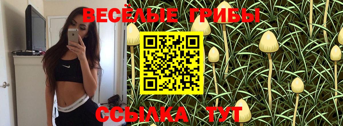 Псилоцибиновые грибы прущие грибы  Вход с VPN  купить наркотик  Великий Устюг 