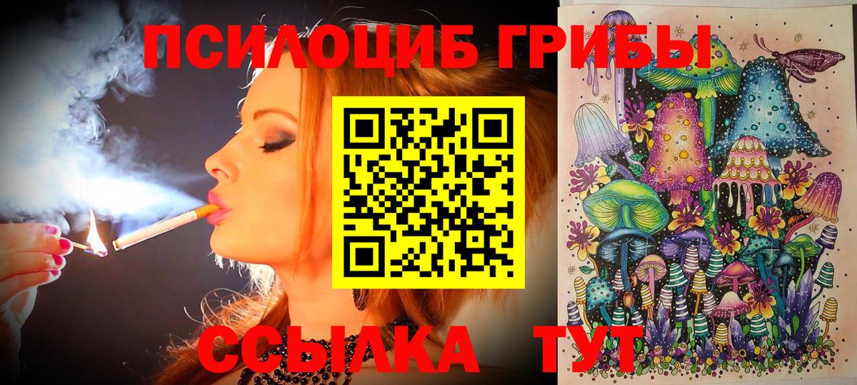 Галлюциногенные грибы Cubensis Великий Устюг